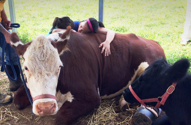 Gentle Barn farm sanctuary vegan Dudley cow hug Little Hero Project